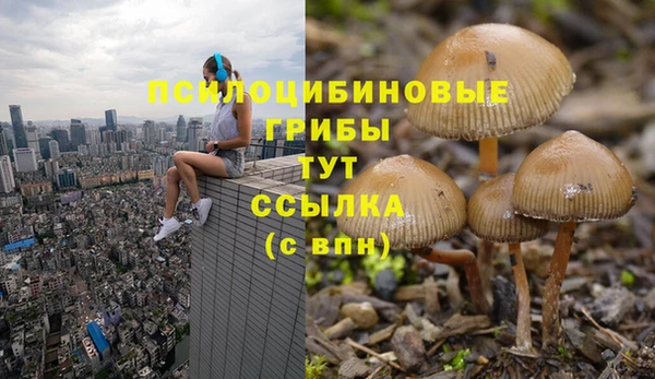 бошки Аркадак