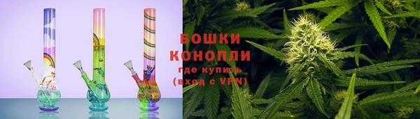 бошки Аркадак