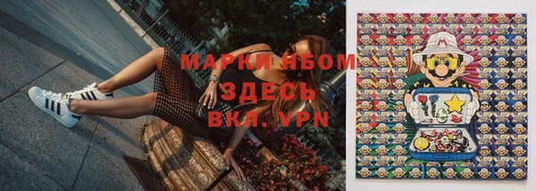 бошки Аркадак