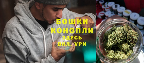 бошки Аркадак