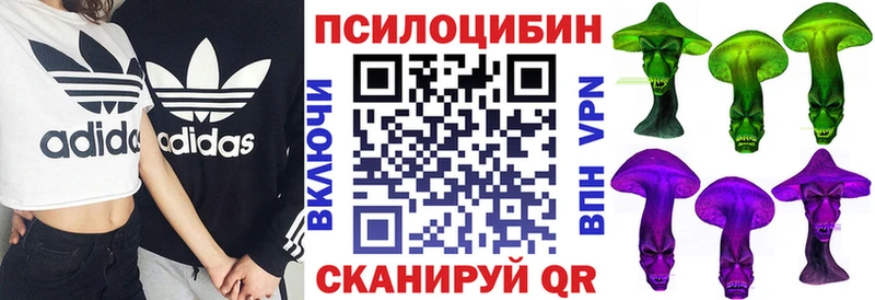 закладки  Бавлы  Галлюциногенные грибы ЛСД 